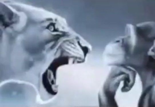 Xavi Ren tweet media