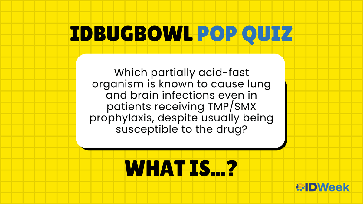 IDWeekmtg's tweet image. Happy #IDBugBowl Pop Quiz Thursday! Which partially acid-fast organism is known to cause lung and brain infections even in patients receiving TMP/SMX prophylaxis, despite usually being susceptible to the drug?
Without googling, comment your answer below! Answer reveal tomorrow.