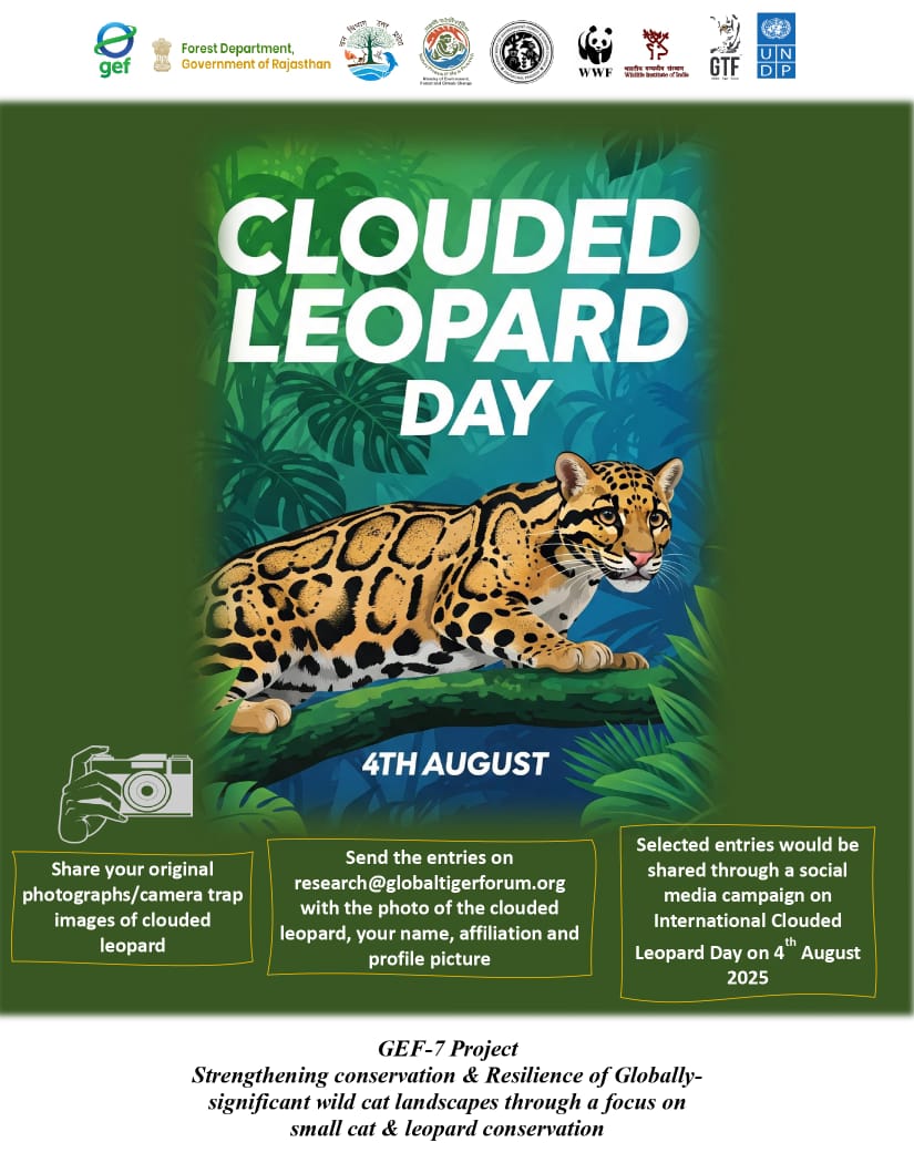 Unitedfortigers's tweet image. Send your photo entries before 28 July for the clouded leopard day (4 August)..details in the image enclosed...@WWFINDIA @moefcc @UNDP_India @pakke_tiger @ntca_india @IBCA_official #conservation #smallcats #wildcats #cloudedleopardday #wildlifephotography