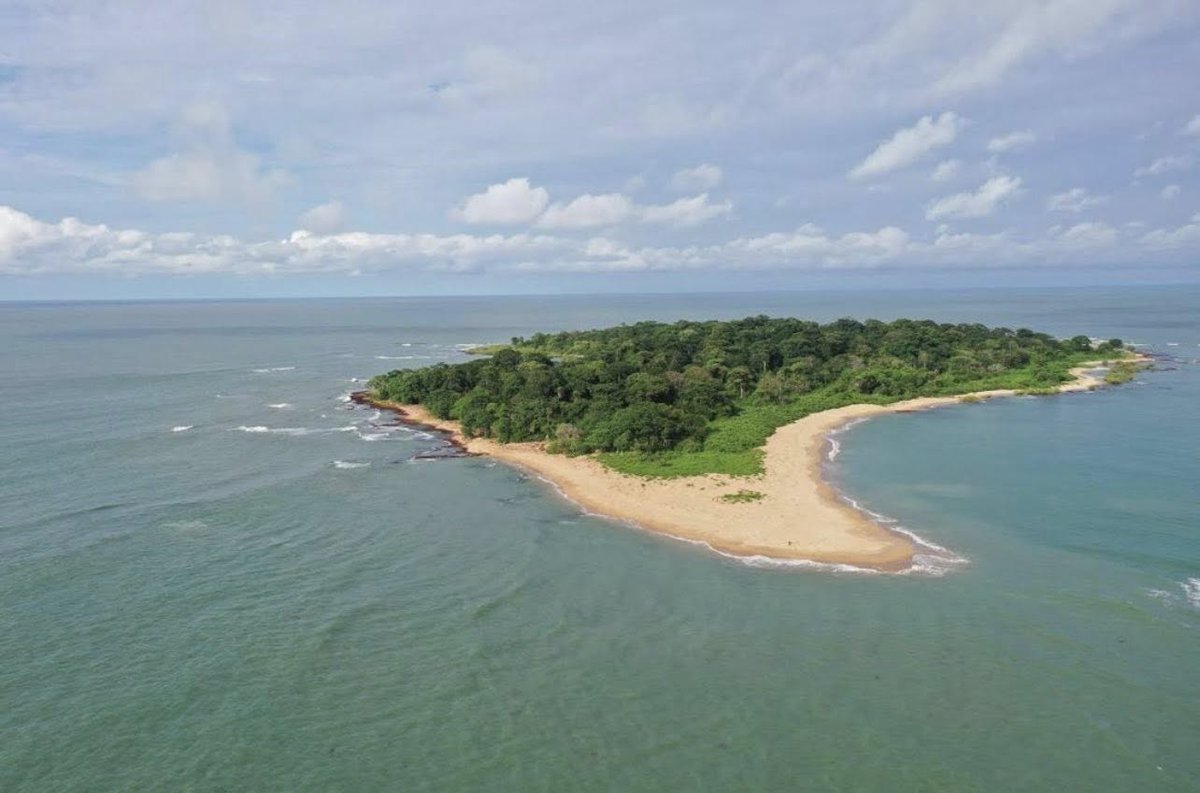 ORANGE BISSAU tweet media