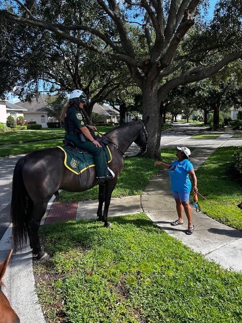 OrangeCoSheriff's tweet image. OCSO's Mounted Unit had a great time on Wednesday 🐴 engaging with the community during a neighborhood patrol in West Orange County! 👮♀️🤝 It’s always a pleasure connecting with residents and spreading positivity along the way. 💙🏡
#CommunityPolicing #MountedUnit…