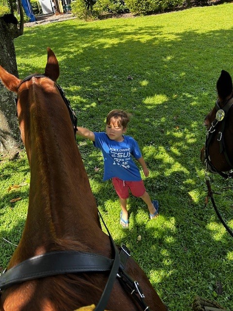 OrangeCoSheriff's tweet image. OCSO's Mounted Unit had a great time on Wednesday 🐴 engaging with the community during a neighborhood patrol in West Orange County! 👮♀️🤝 It’s always a pleasure connecting with residents and spreading positivity along the way. 💙🏡
#CommunityPolicing #MountedUnit…