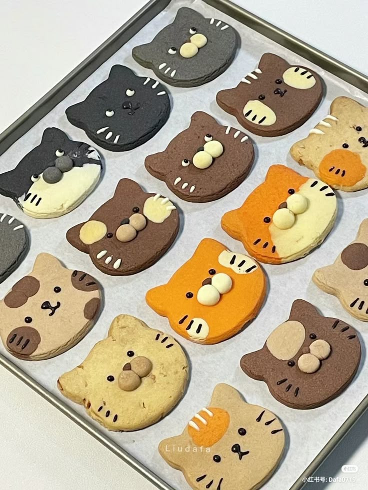 cat cookies