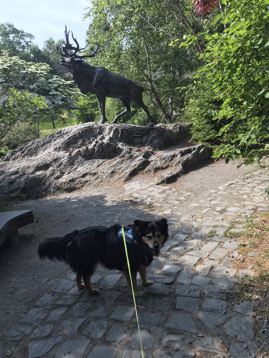 I’m pretty sure in #Newfoundland the barbecue 🍖 invites will be plenty to celebrate 🎉 the birthday 🎂 of #CaseyChasem