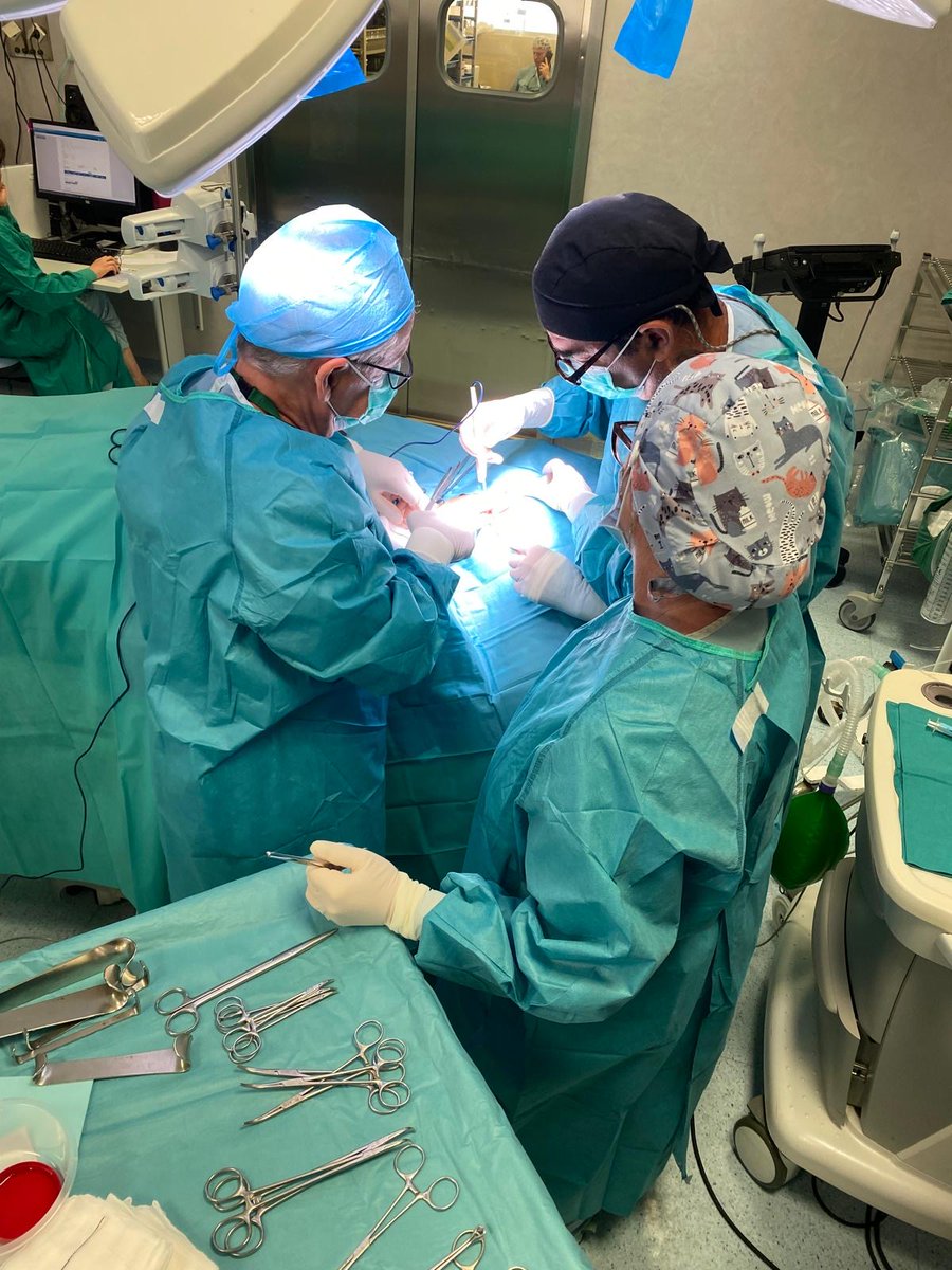 Dieter Morales #yosoydelclinico (@rncsantander) on Twitter photo Haciendo #CMA en la mejor compañía <a href="/JorgeMalaguista/">歩流経 </a> <a href="/AnaRnurse/">AnaRDurán</a> #clinico <a href="/HUVV_SAS/">Hospital Clínico Virgen de la Victoria</a> <a href="/olgarguerrero70/">OlgaRGuerrero</a> <a href="/asacirujanos/">asacirujanos</a> <a href="/aecirujanos/">aecirujanos</a> <a href="/ASECMA/">ASECMA</a> <a href="/jmcordero6/">@jmcordero</a> <a href="/cma_aecirujanos/">CMA de la AEC</a> Haciendo #CMA en la mejor compañía <a href="/JorgeMalaguista/">歩流経 </a> <a href="/AnaRnurse/">AnaRDurán</a> #clinico <a href="/HUVV_SAS/">Hospital Clínico Virgen de la Victoria</a> <a href="/olgarguerrero70/">OlgaRGuerrero</a> <a href="/asacirujanos/">asacirujanos</a> <a href="/aecirujanos/">aecirujanos</a> <a href="/ASECMA/">ASECMA</a> <a href="/jmcordero6/">@jmcordero</a> <a href="/cma_aecirujanos/">CMA de la AEC</a>