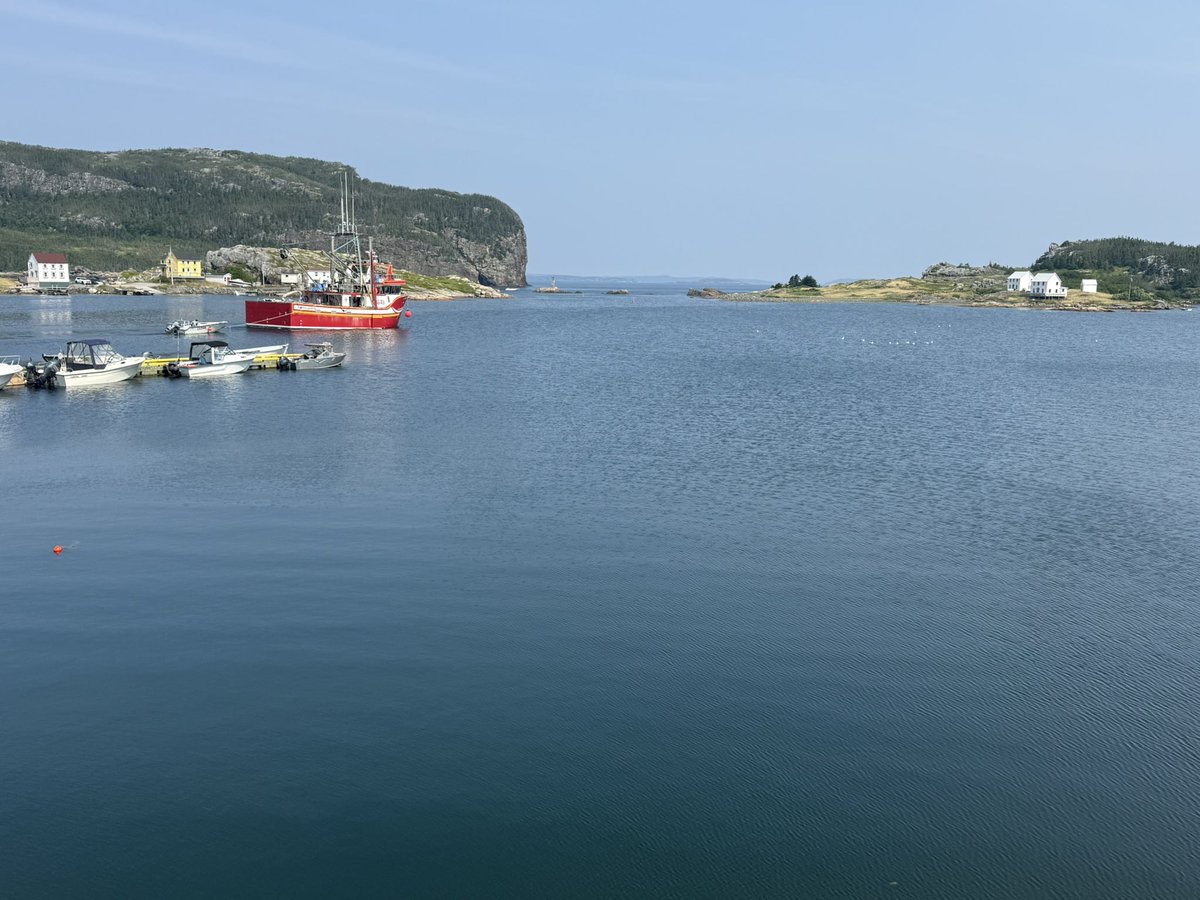 AnthonyGermain's tweet image. Chillin’.
Watching the 🚢s go by…
