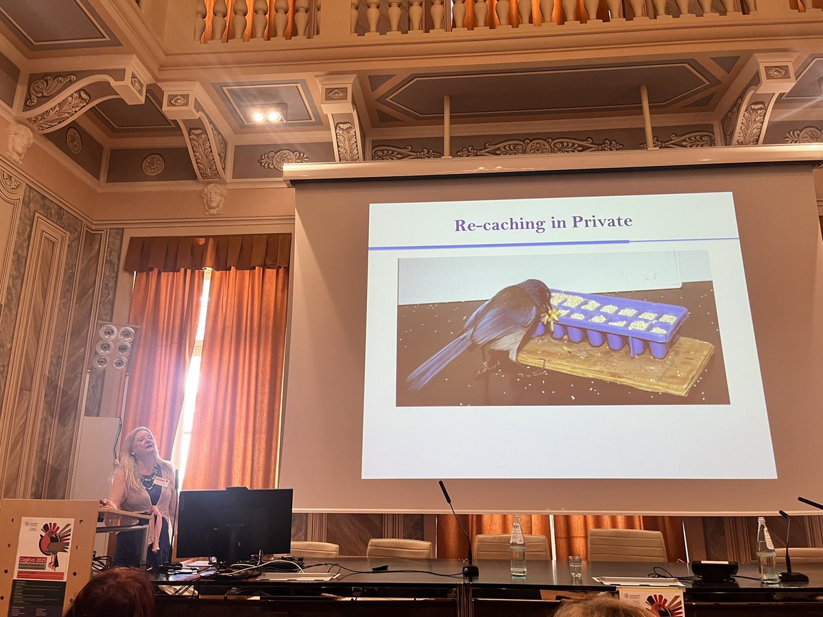 Anastasia Morandi-Raikova (@morandiraikova) on Twitter photo Kicking off Day 1 of #CogEvo2025 with curiosity and wonder!
Closing today’s lineup: Prof. Clayton presents "Magic in Mind" <a href="/gVallortigara/">Giorgio Vallortigara</a> <a href="/cimec_unitrento/">CIMeC UniTrento</a> Kicking off Day 1 of #CogEvo2025 with curiosity and wonder!
Closing today’s lineup: Prof. Clayton presents "Magic in Mind" <a href="/gVallortigara/">Giorgio Vallortigara</a> <a href="/cimec_unitrento/">CIMeC UniTrento</a>