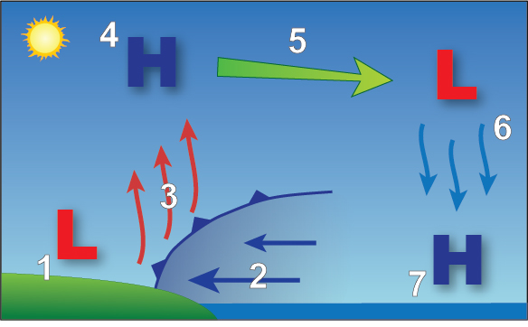 TonyPannWBAL's tweet image. What is the Bay Breeze, and how is it helping to enhance the storms in the Baltimore Metro? On a hot day in MD, the land warms up much faster than the water. As warm air rises over land, cooler air from the bay rushes in to take its place. Creating a 'front'. 👇 As storms move…