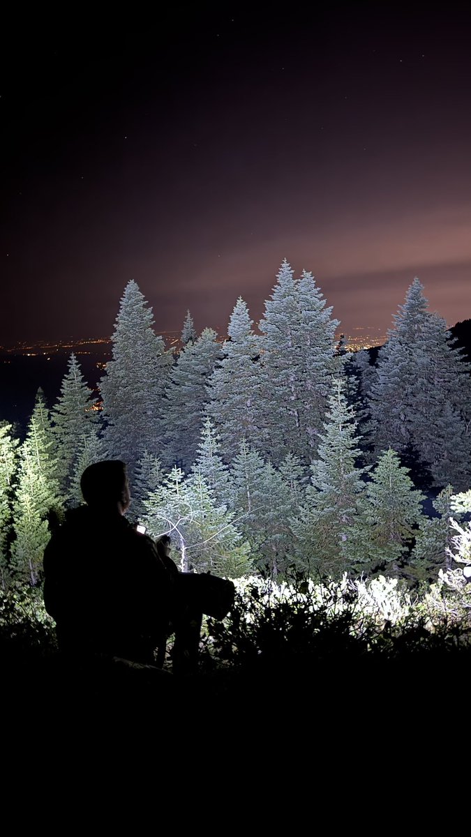 Birdcatcher01's tweet photo. 🌲🌌 https://t.co/ULujBJ8uXX