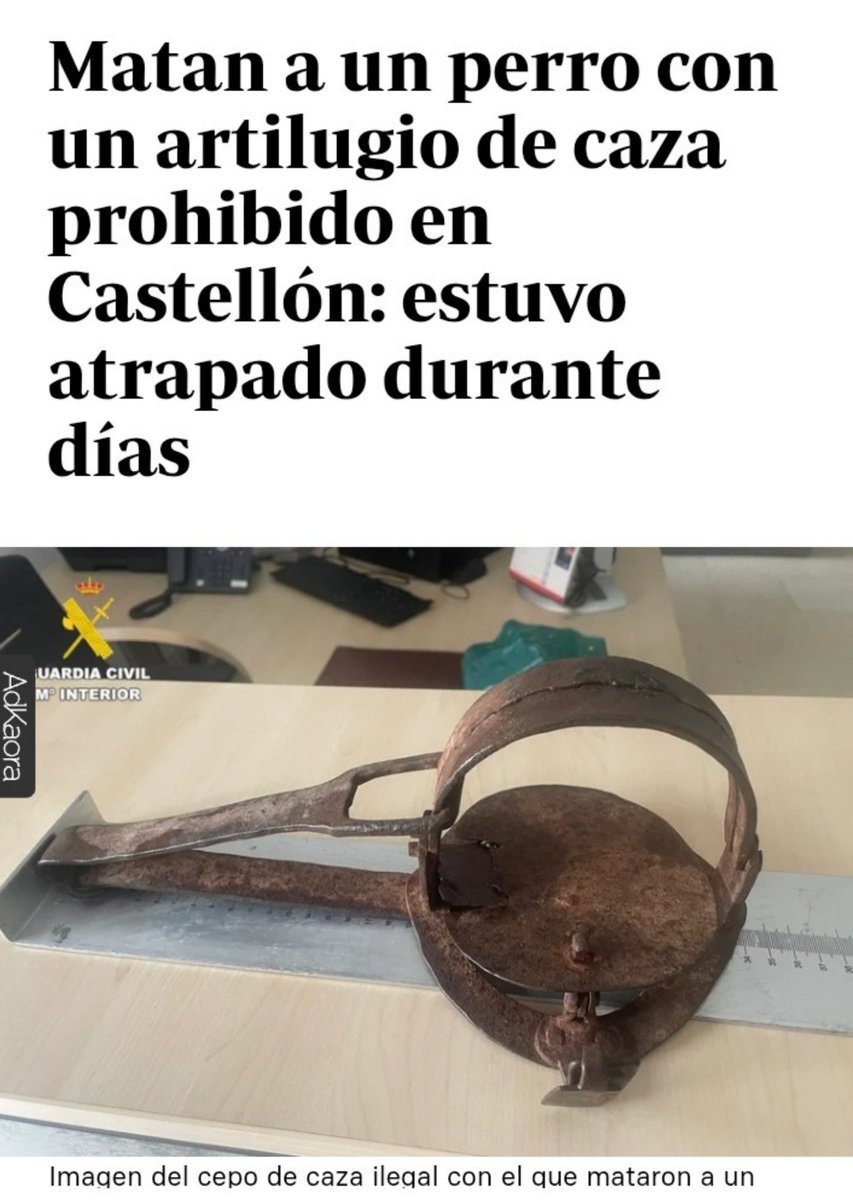 Atrapado en un cepo durante días. Interminables horas de agonía para ese perro. Y su muerte.
Esto es el mundo de la #caza : crueldad, violencia, delincuencia y el sufrimiento atroz de seres inocentes para diversión y orgullo de gentuza.