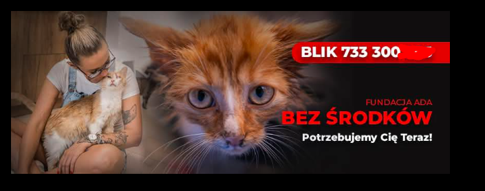 CzarnaListaPro's tweet image. Z kolei Fundacja Ada otrzymała niedawno 8,1 miliona złotych ze zwrotu podatku, co łącznie daje im 15,2 miliona rocznego przychodu.
Tymczasem dzisiaj na ich stronie można znaleźć taki apel: