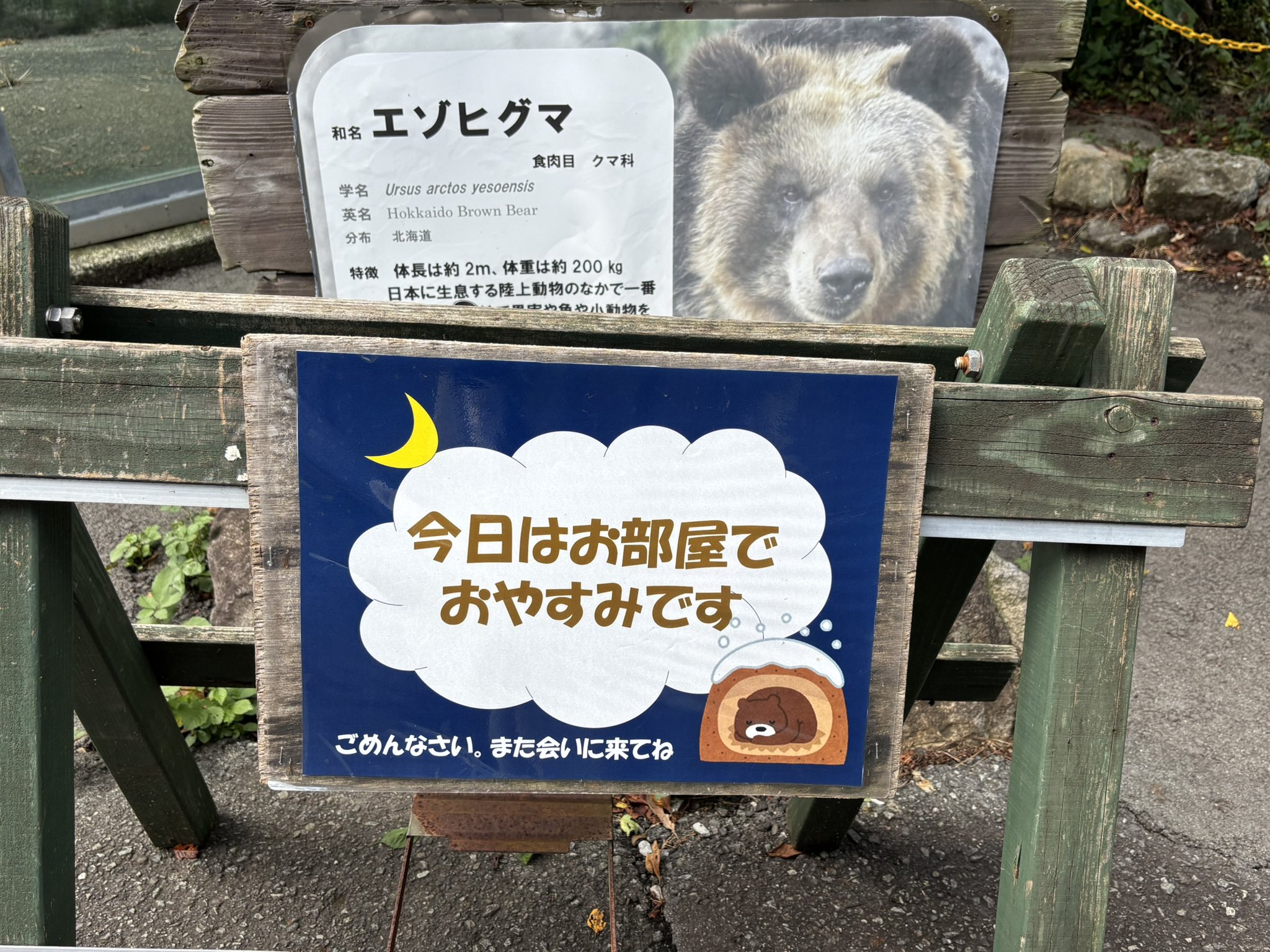 クマ♪　　1/10決済 hqdefault.jpg