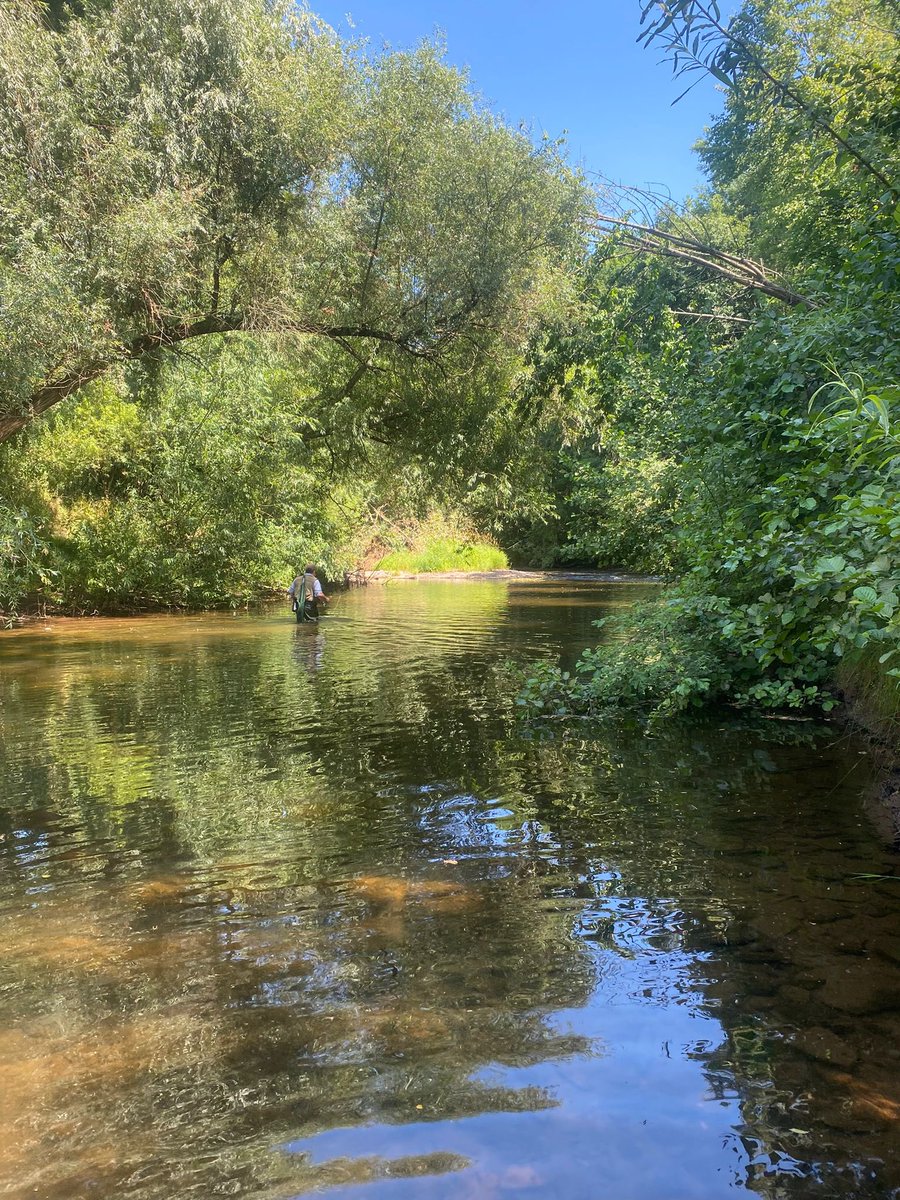 James Clark (@oxonjames) on Twitter photo The boy papped me in the Monnow. The boy papped me in the Monnow.
