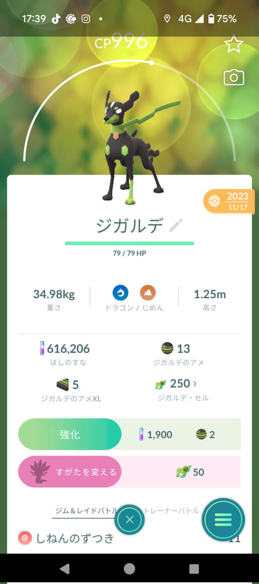 1年半かけてとうとうジガルデセルが250個…
フォルムチェンジさせたいけど、させたらジガルデ2体目のイベント来たりしそうで怖い！
色違いとか実装したら泣いちゃうもんね😅

他のトレーナーさんはどうしてるんだろ…

＃ポケモンGO