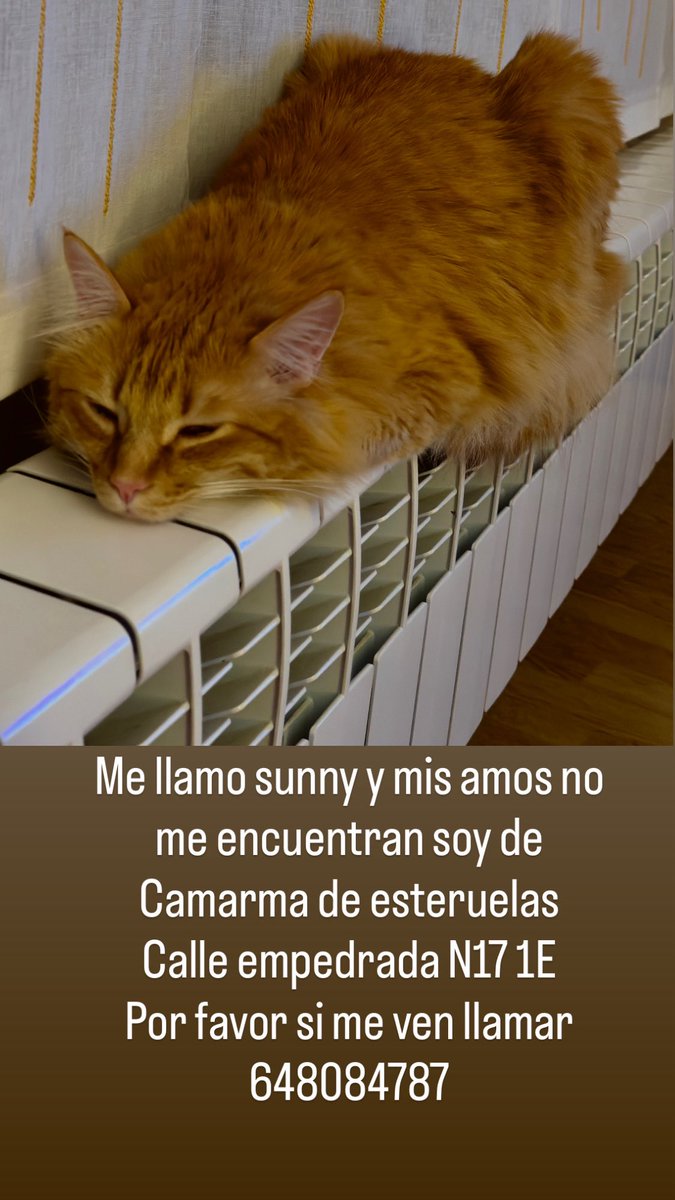 Carlos Barroso tweet media