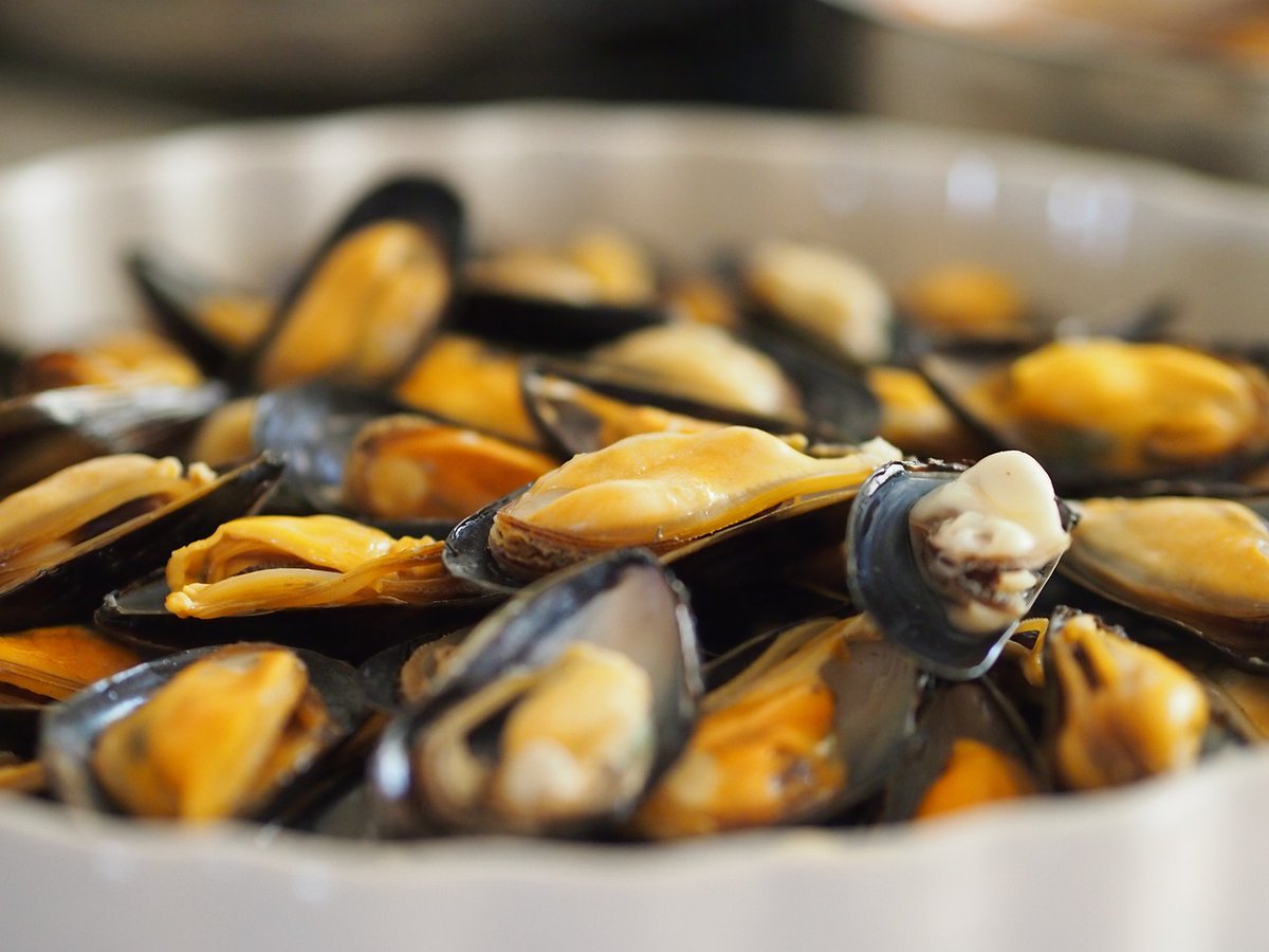 RegioneVeneto's tweet image. Approvata con DGR n.n. 738 del 08/07/2025 la procedura di classificazione stagionale dei Molluschi Bivalvi Vivi (MBV) destinati all'immissione in commercio, ad integrazione della DGR n. 870 del 21/06/2011.
Per info: url.regve.it/r/DGR_738_2025