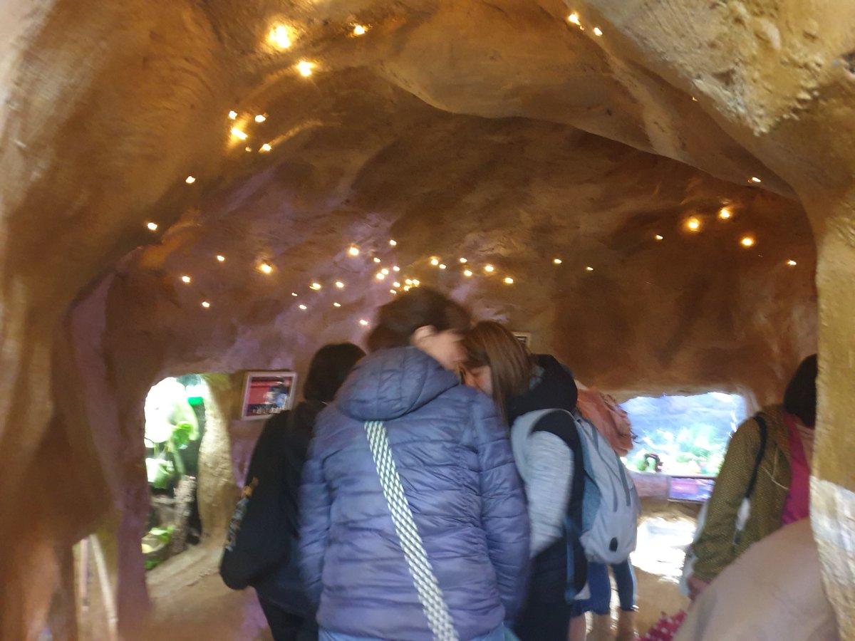 Migrant Support tweet media