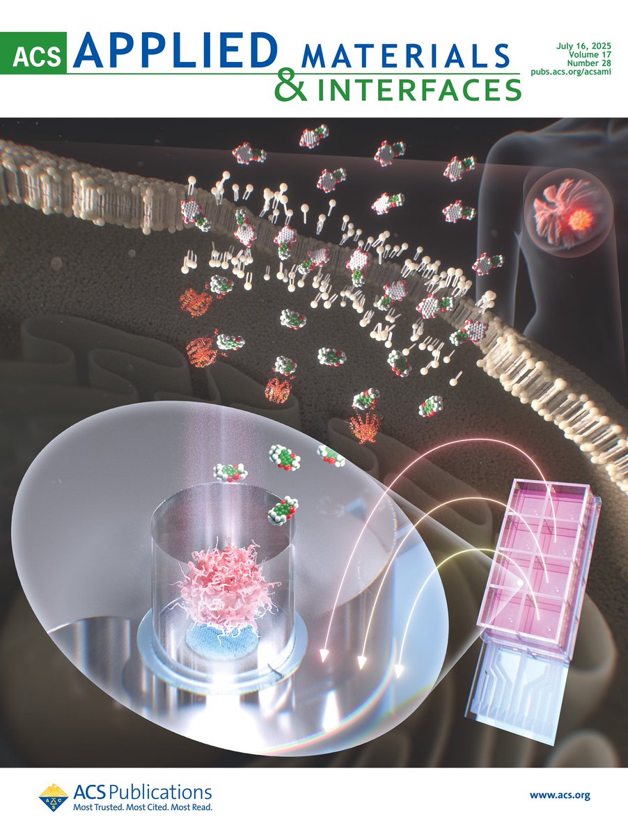 muller_group's tweet image. The latest issue of ACS Applied Materials &amp;amp; Interfaces (@ACS_AMI) is live! On the  cover: “#Real-Time Impedimetric Monitoring of 3D #Cancer Spheroids Using a PDA-Functionalized #Microelectrode Platform Integrated with #Graphene #Quantum Dot-Based #Nanocomposites”
