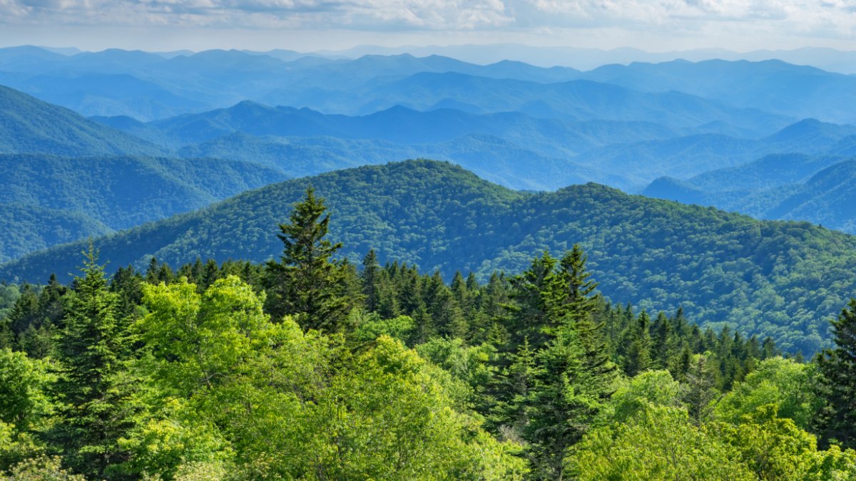 GCL_EXPERTS's tweet photo. Don’t you feel a little calmer just looking at this view? 🌲⛰️
Nature’s way of reminding us to slow down and breathe...
#MountainMagic #NatureLovers #ScenicViews  #GetOutside #IntoTheWild #OutdoorAdventure #ExploreNature #BeautifulDestinations #HikingHeaven #NatureAddict https://t.co/YrvOzajSQO