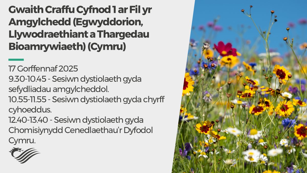 Pwyllgor Newid Hinsawdd, yr Amgylchedd a Seilwaith - Dydd Iau, 17 Gorffennaf 2025 09.30-13.40.

Gwaith craffu Cyfnod 1 ar y Fil yr Amgylchedd (Egwyddorion, Llywodraethiant a Thargedau Bioamrywiaeth) (Cymru).

Gwyliwch yn fyw ar Senedd.tv 📺