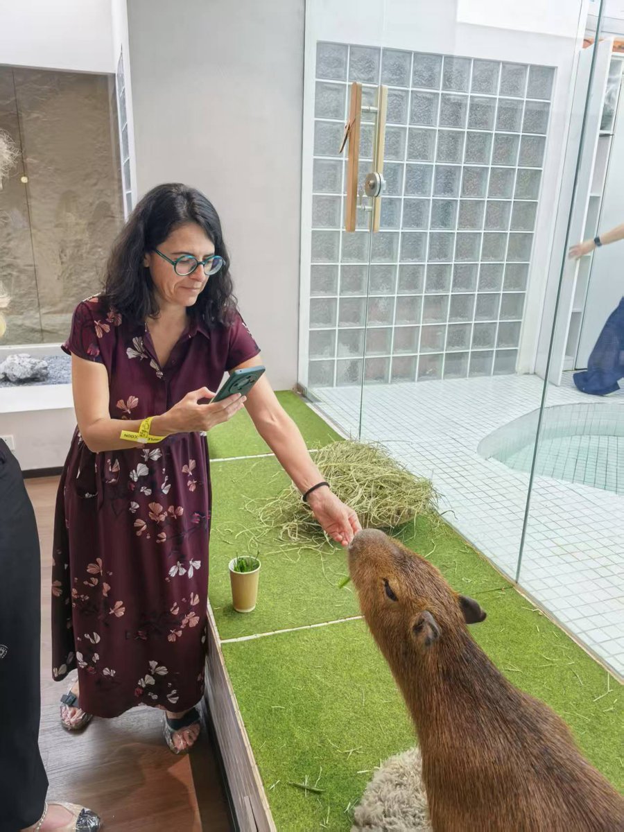 LTL Language School tweet media