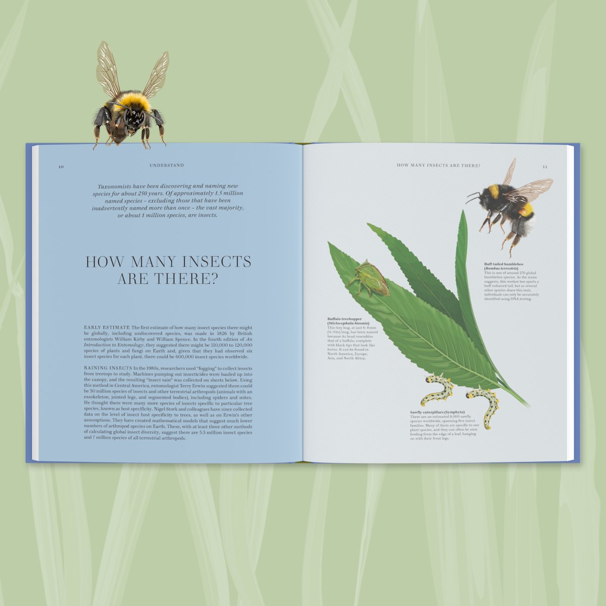 RoyEntSoc's tweet image. Written by our RES members, #RESInsects is a comprehensive exploration of the world of insects, perfect for experts and non-experts, put together in a beautifully illustrated book.
10% off for RES Members. Get your copy today 🔽
royensoc.co.uk/shop-merchandi…
@dkbooks