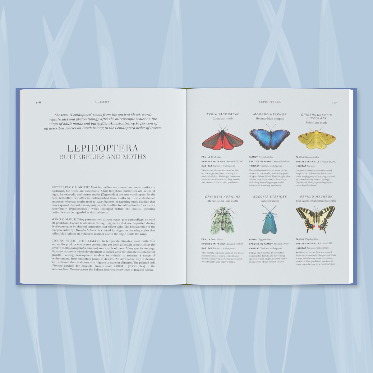 RoyEntSoc's tweet image. Written by our RES members, #RESInsects is a comprehensive exploration of the world of insects, perfect for experts and non-experts, put together in a beautifully illustrated book.
10% off for RES Members. Get your copy today 🔽
royensoc.co.uk/shop-merchandi…
@dkbooks