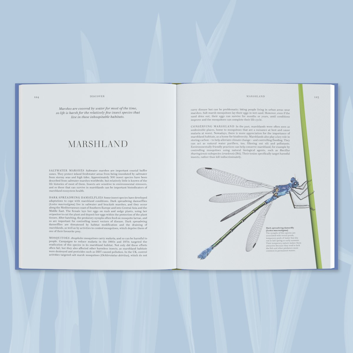 RoyEntSoc's tweet image. Written by our RES members, #RESInsects is a comprehensive exploration of the world of insects, perfect for experts and non-experts, put together in a beautifully illustrated book.
10% off for RES Members. Get your copy today 🔽
royensoc.co.uk/shop-merchandi…
@dkbooks