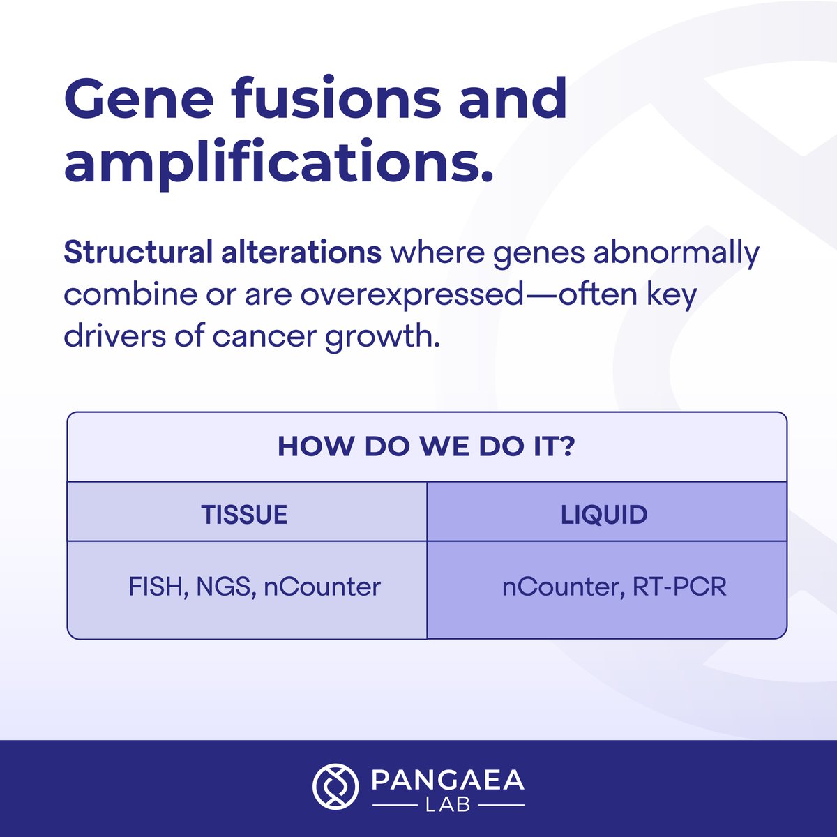 Pangaea Lab tweet media