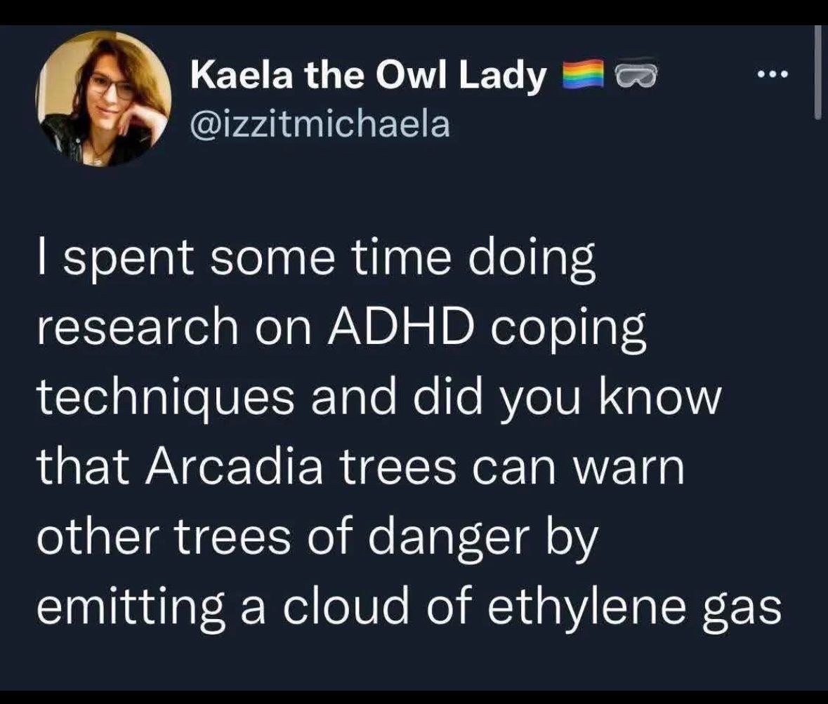 ADHD Memes (@adhdforreal) on Twitter photo 