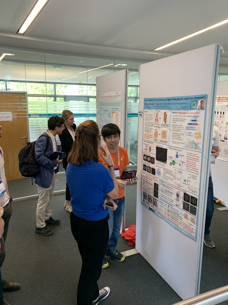 EMBLEvents's tweet image. 🔬 #EMBLSingleMolecule poster session highlights 📜
Big ideas, bold questions, and lots of sticky notes!
From molecular mechanics to late-breaking results — the poster session was buzzing with energy and conversation 💬 Loved seeing early-career researchers shine!