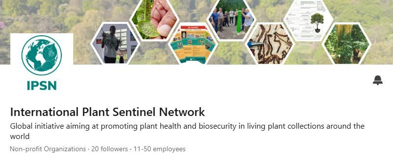 IPSN_BGCI's tweet image. ▶️Follow us on LinkedIn!
Check out new IPSN LinkedIn Page - a space to share updates, research highlights, partner activities and global plant health news🌿🌍
Stay connected with the latest developments of our network!
👉linkedin.com/company/intern…