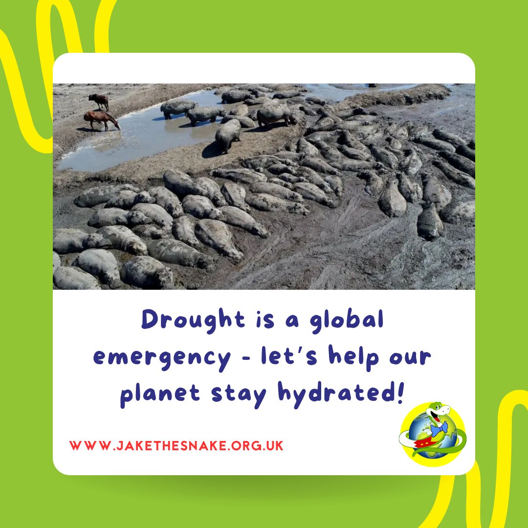 This is a global emergency! 💧 Rivers are vanishing, animals are thirsty, and millions lack clean water. Let's protect nature &amp; use water wisely. The planet’s thirsty- let’s help! 🌍 Jake x bbc.in/402kwoC  #drought #climateforkids #climatechange #savewater #savetheplanet