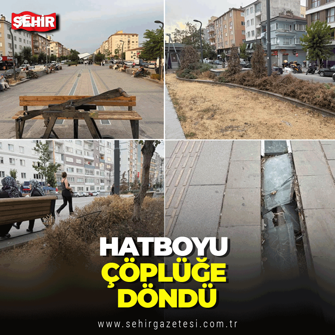 sehirgazetesi's tweet photo. Hatboyu çöplüğe döndü https://t.co/3XN7p0di4Y
#hatboyu #çöplük https://t.co/iJLTnpsxar