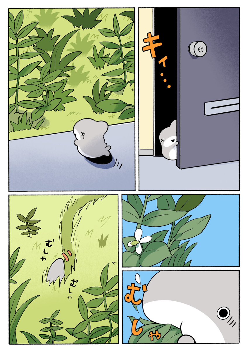 子ザメのひとりぐらし はじめての… 2/3 
