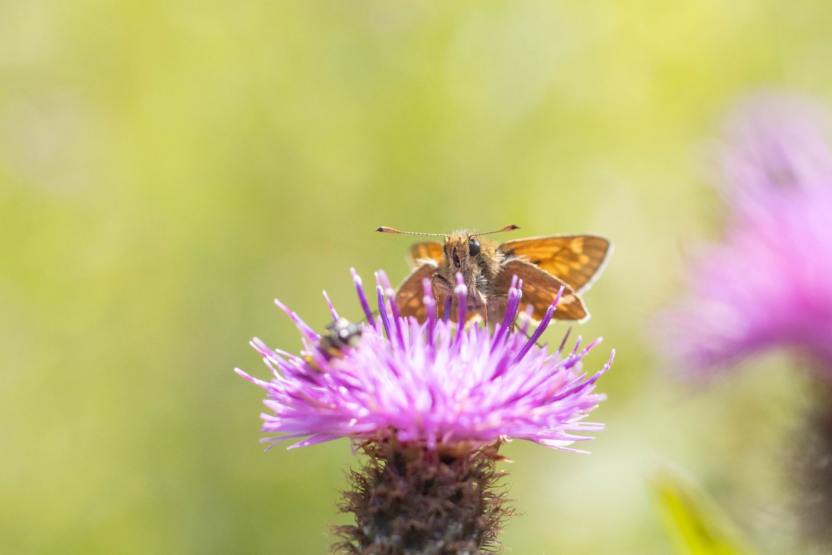 Helloooooooo I'm back 😊