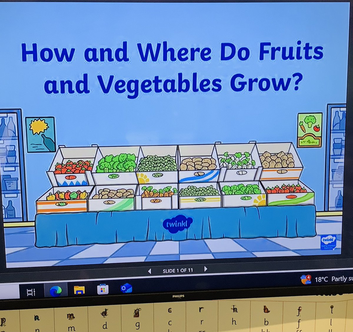 Maple Class tweet media