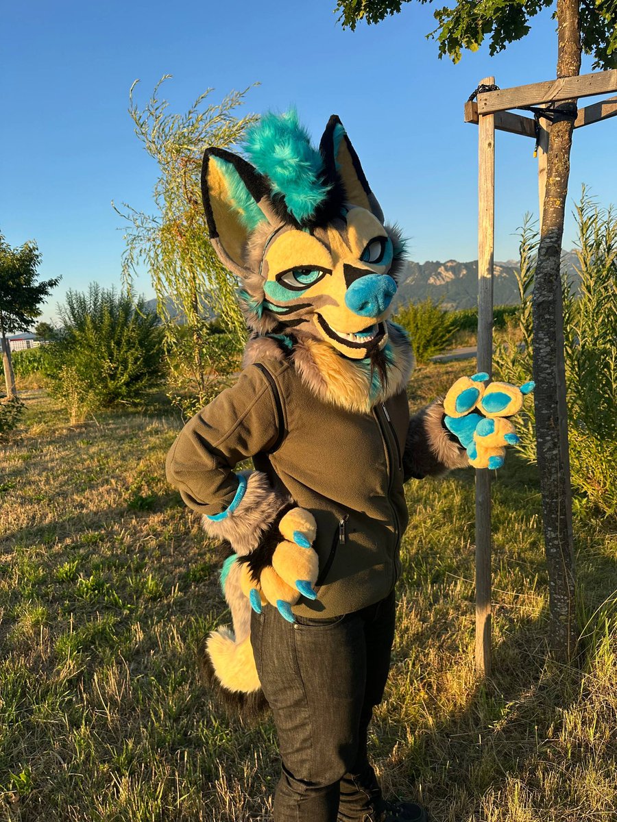 thedealersden.com/listing/avalan…

Avalanche is looking for a new home!

Meet Avalanche, a hyena full of attitude and cartoon-style personality — ready to steal the show at any event or meetup!

Let’s Fur!

~Alpha’s Red Moon