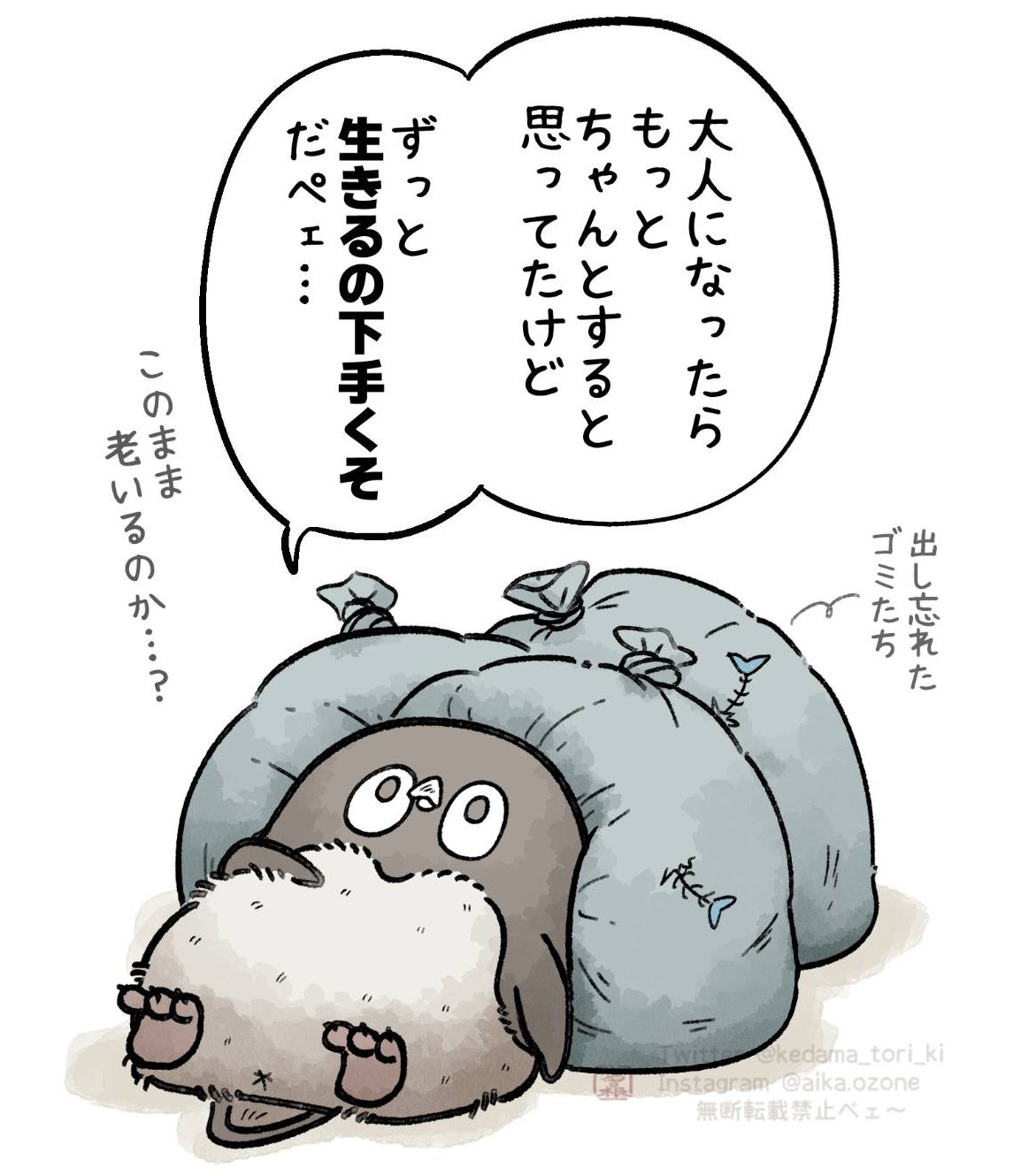 せなきち🐾 (@sena35v) / X