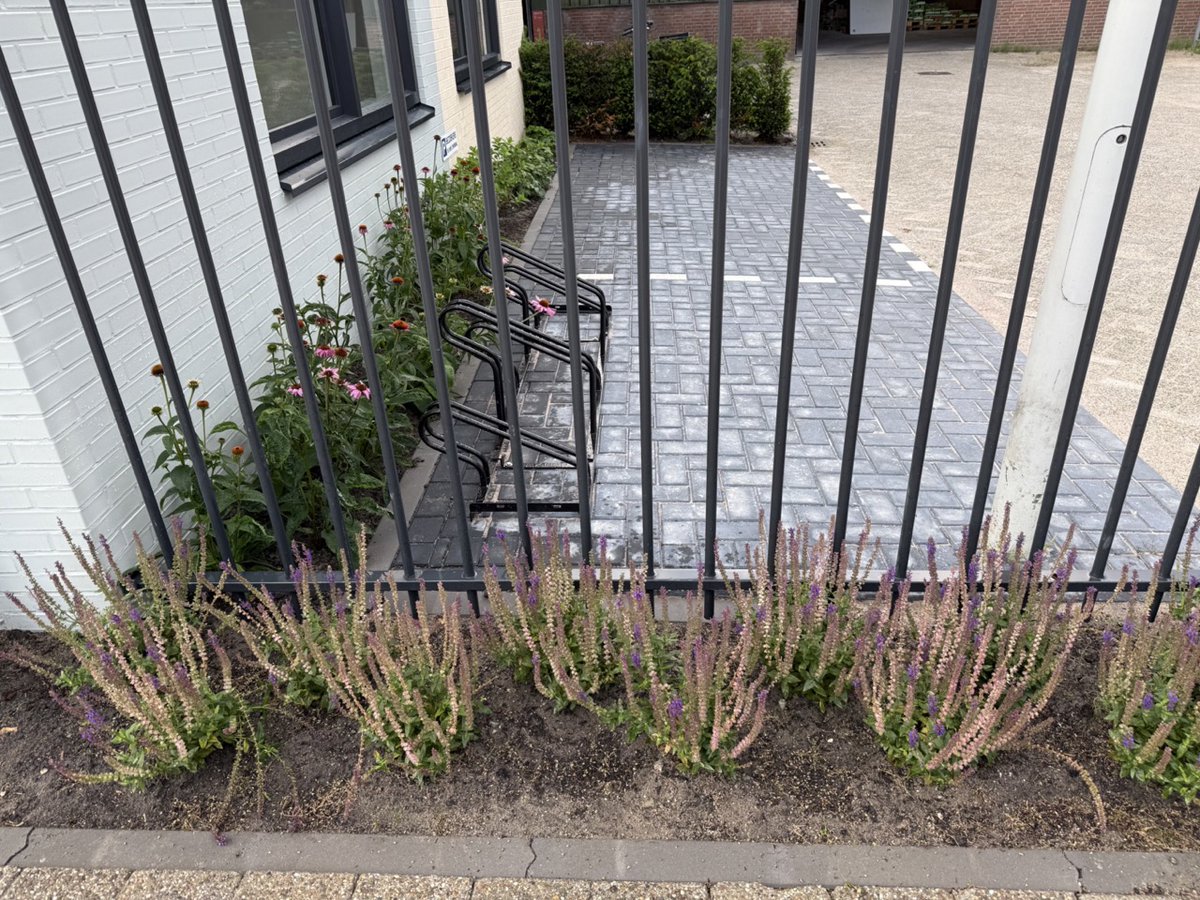 dedorusleiden's tweet photo. Van grijs naar groen: De Mees heeft nu ook een kleurrijke buitenplaats! Onze hovenier heeft met zorgvuldig aangelegde groenstroken kleur toegevoegd aan dit nieuwe gedeelte van bedrijfsverzamelgebouw De Dorus. https://t.co/KQrEIPuRt7