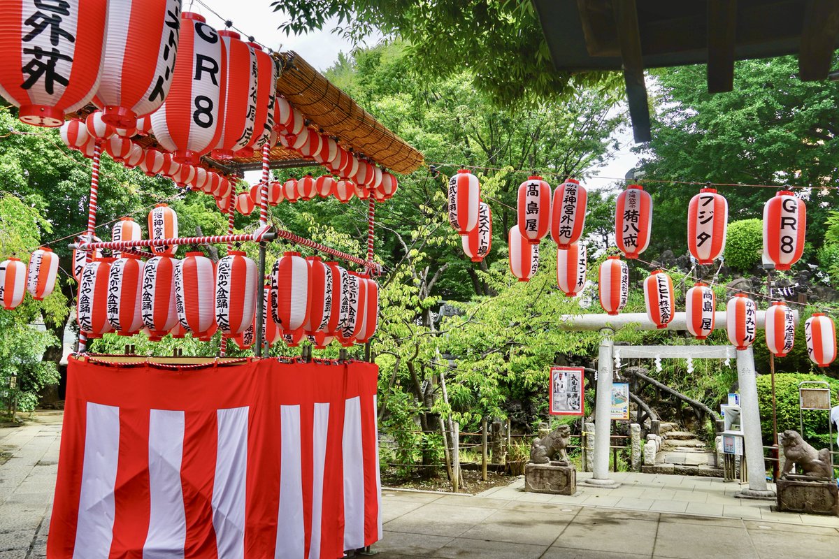 jinjamemo's tweet photo. 鳩森八幡神社。渋谷区千駄ヶ谷。
千駄ヶ谷一帯の総鎮守。

7月1日-8月31日まで授与の「夏詣限定御朱印」を頂きました。書き置きのみ。鳩森八幡さま、千駄ヶ谷富士塚のどちらも夏詣仕様になっています。

7月18日・19日の16時-21時までは「せんだがや盆踊り大会」を開催。昨年は当日に参拝しましたが今年は前日に。既に盆踊り会場の櫓も設置されていて提灯も数多くで盆踊りムードたっぷり。

せんだがや盆踊り大会では盆踊りはもちろん、ワークショップ、さらには千駄ヶ谷ならではの将棋指導対局や津田塾大学生によるアクセサリーショップなども並ぶそうです。お時間ある方はぜひ。

鳩森八幡さまはすぐ近くに旧将棋会館があった事から日本将棋連盟によって将棋堂が建立。（新将棋会館も氏子区域です）将棋関連の授与品も多いため「将棋神社」とも呼ばれ棋士からの崇敬も篤い神社です。

江戸時代には江戸八所八幡宮の一社に数えられた鳩森（はとのもり）の八幡さま。

境内には東京都有形民俗文化財に指定された都内最古の富士塚「千駄ヶ谷の富士塚」が現存。この富士塚には通年で登拝ができますのでぜひ登ってみてください。

また国立競技場の氏神さまとしても知られています。そのためFC東京とのコラボ品の頒布なども定期的に行なっています。
#御朱印 #限定御朱印