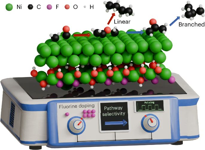 catalysis_eth's tweet image. 🔥Breaking news in eCO2RR: growing the hydrocarbon chain and branching it out using flourine-doped nickel electrocatalysts @NatureCatalysis. Thankful for this collaboration with Boon Siang Yeo @NUSingapore and @TheorHetCatICIQ 🙏@NCCR_Catalysis 👇
nature.com/articles/s4192…