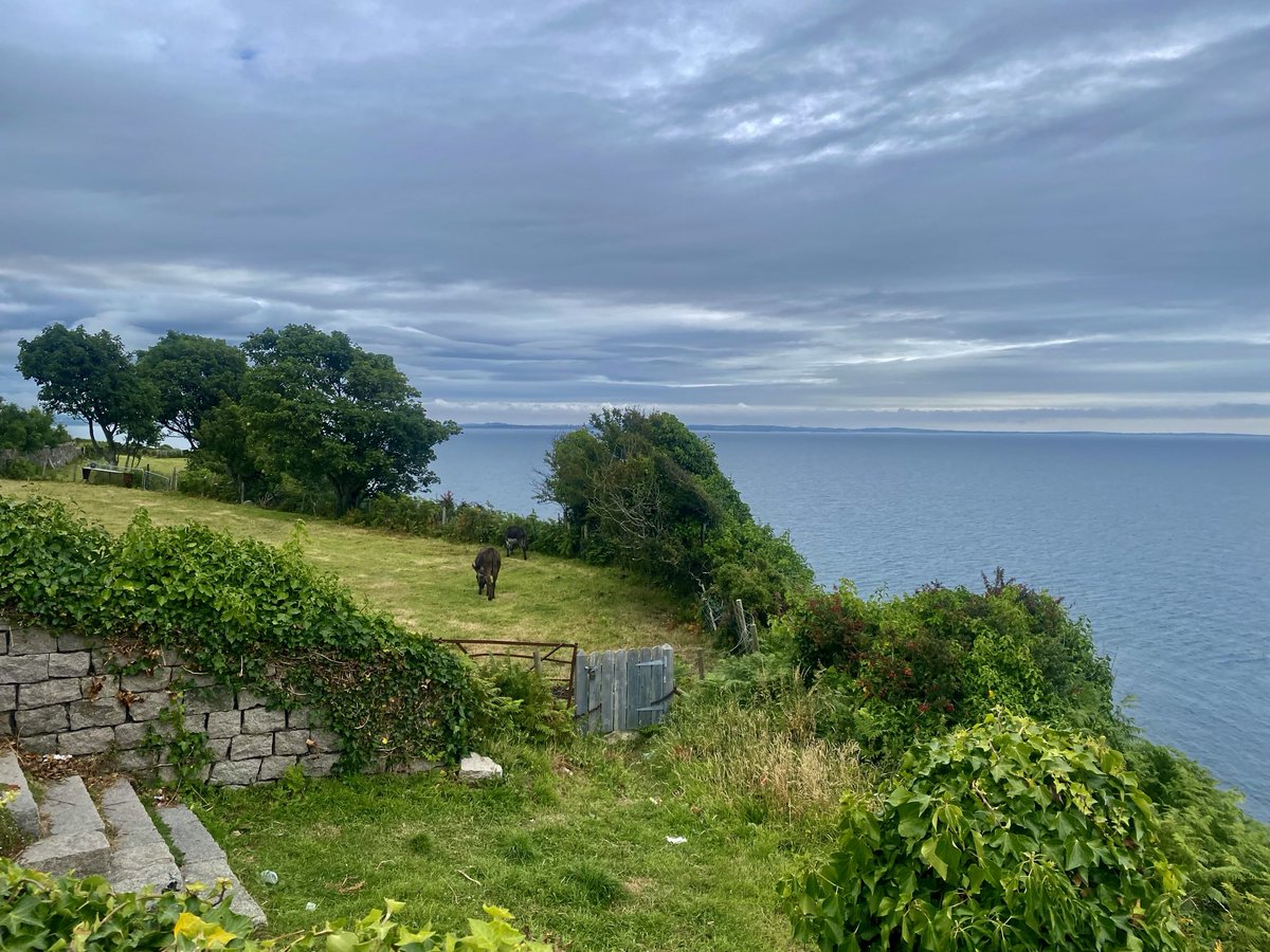 Kelly Mccaughan (@mccaughan_kelly) on Twitter photo Still dry over the County Down coastline <a href="/bbcniweather/">BBC NI Weather</a> <a href="/barrabest/">Barra Best</a> <a href="/WeatherCee/">Cecilia Daly</a> <a href="/geoff_maskell/">Geoff Maskell</a> <a href="/bbcweather/">BBC Weather</a> <a href="/SarahKLweather/">Sarah Keith-Lucas</a> <a href="/WeatherAisling/">Aisling Creevey</a> <a href="/Louise_utv/">Louise Small</a> <a href="/MetMattTaylor/">Matt Taylor</a> Still dry over the County Down coastline <a href="/bbcniweather/">BBC NI Weather</a> <a href="/barrabest/">Barra Best</a> <a href="/WeatherCee/">Cecilia Daly</a> <a href="/geoff_maskell/">Geoff Maskell</a> <a href="/bbcweather/">BBC Weather</a> <a href="/SarahKLweather/">Sarah Keith-Lucas</a> <a href="/WeatherAisling/">Aisling Creevey</a> <a href="/Louise_utv/">Louise Small</a> <a href="/MetMattTaylor/">Matt Taylor</a>