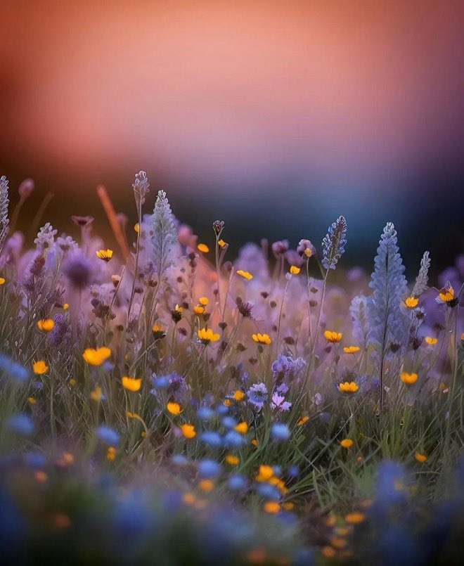 ~
“Change the world by your example, not your opinion.”
     🖊️Paulo Coelho 
~
     ©️leoni