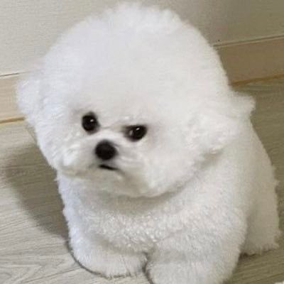 sassy mimi 🤨 #도겸