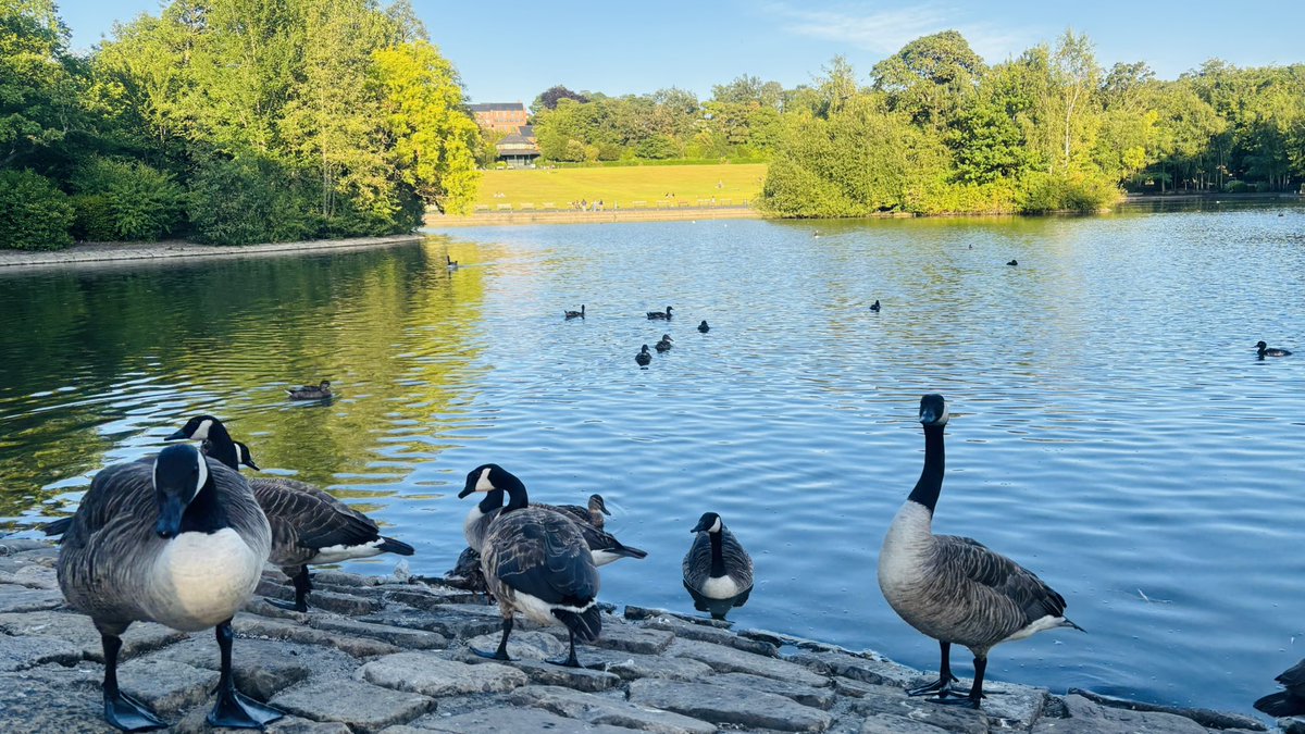 meeting with my quants in England ☀️