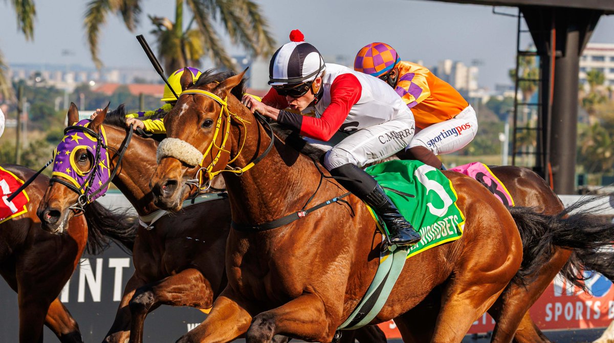 DeKockRacing's tweet photo. Corrupt took no prisoners in first attempt over 1800m. https://t.co/6xaiWzOiLl https://t.co/Xt4nLKioR7