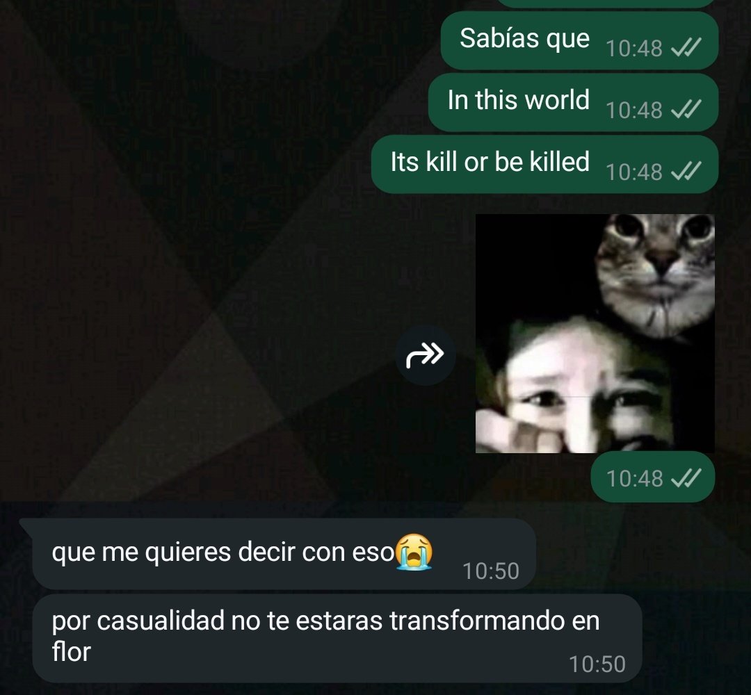 sandercat_'s tweet image. 