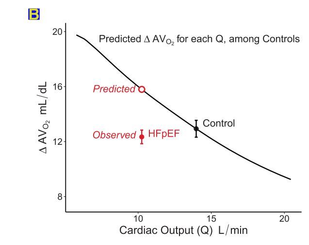 Jan Verwerft tweet media