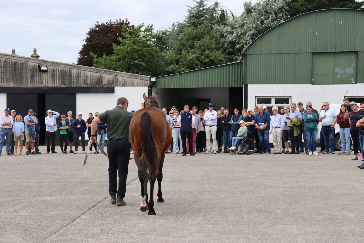 ITBA_Official's tweet image. ๐ Many thanks to everyone who attended our Yearling Preparation Workshop to learn about all aspects of a good planning programme
A special thank you to our speakers and hosts @IrishNatStud for giving their time
We hope to see you at the next ITBA event!